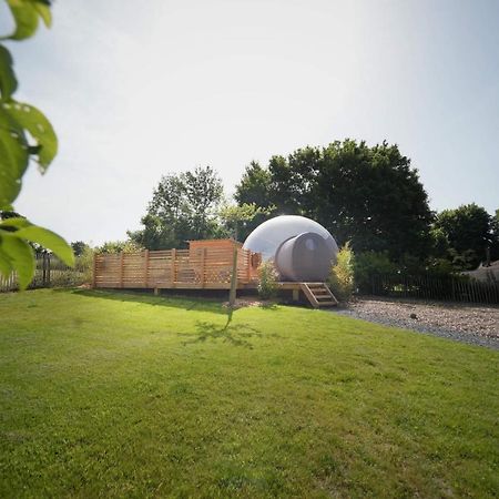 Bulles Odette & Ginette Et Tiny House Suzette "Au Guet Marais" Etape Insolite Paliseul Buitenkant foto