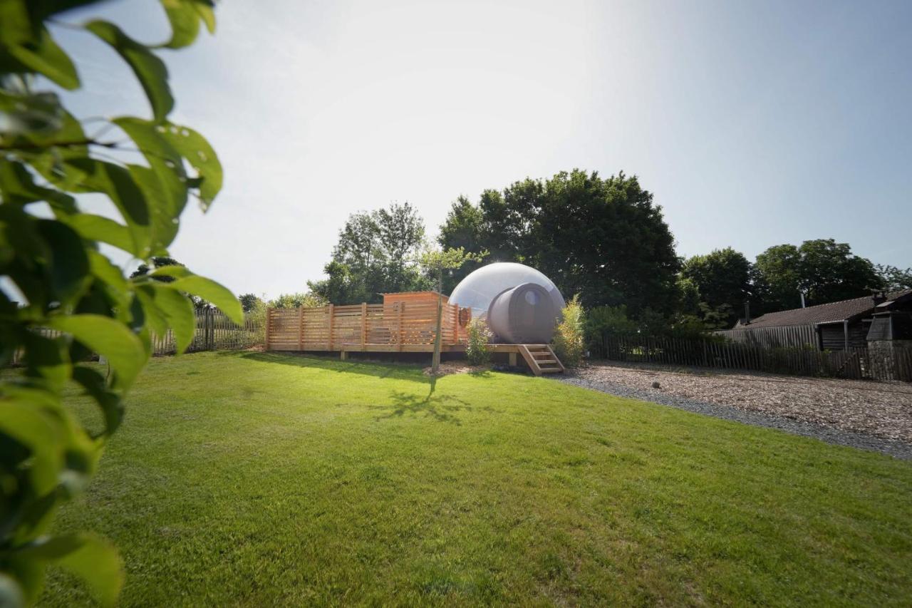 Bulles Odette & Ginette Et Tiny House Suzette "Au Guet Marais" Etape Insolite Paliseul Buitenkant foto